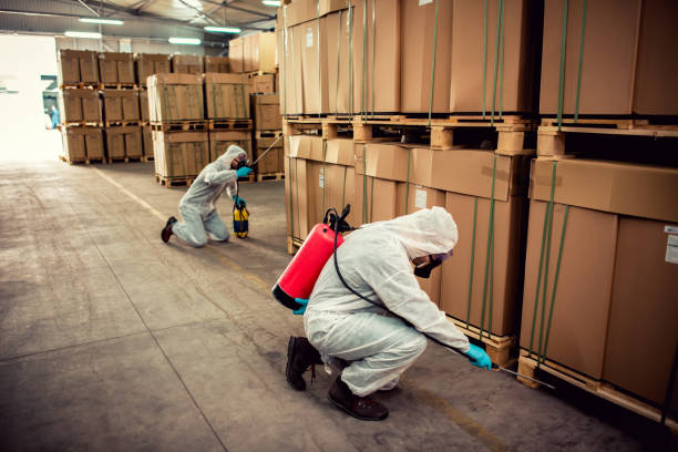Best Bed Bug Extermination  in Arvin, CA