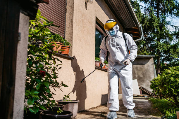 Best Emergency Pest Control  in Arvin, CA