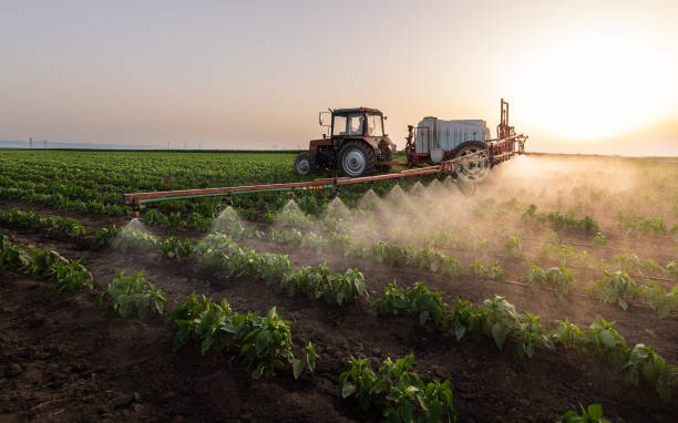 Pest Control Cost in Arvin, CA
