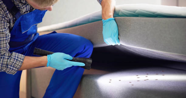 Best Mosquito Control Services  in Arvin, CA