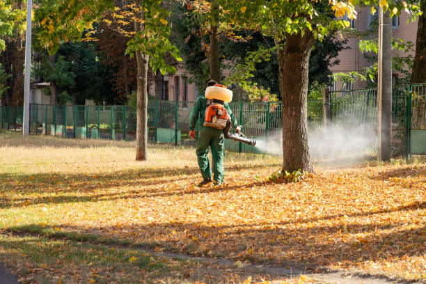 Trusted Arvin, CA Pest Control Experts