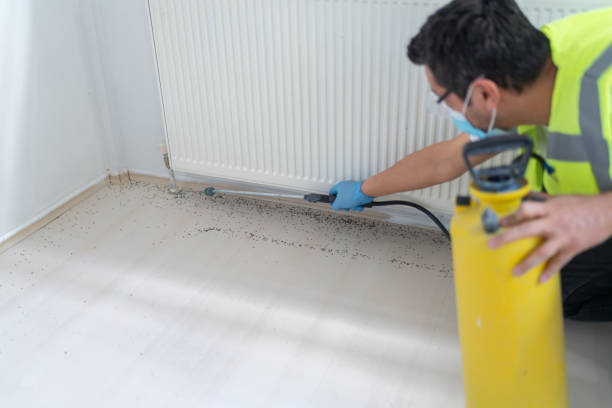 Best Pest Control Near Me  in Arvin, CA