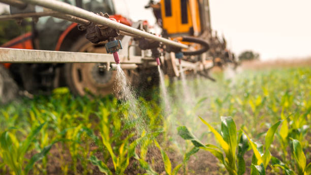 Best Pest Prevention Services  in Arvin, CA